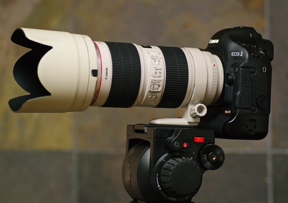 II型専用のホワイトレンズフードが発売されましたね』 CANON II型専用のホワイトレンズフードが発売されましたね』 CANON