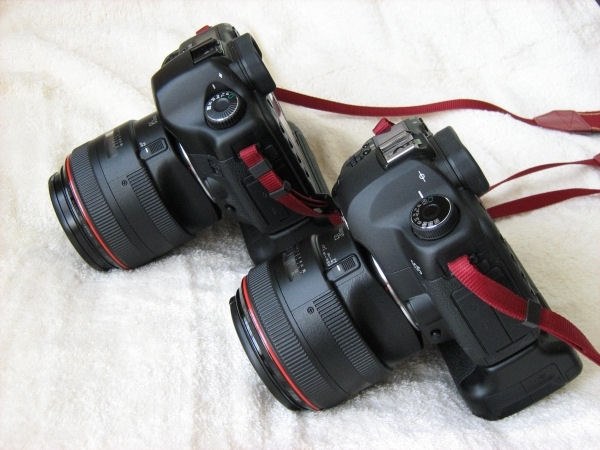 ５０ｍｍの単焦点レンズについて』 CANON EOS 5D Mark II EF24-105L IS ...