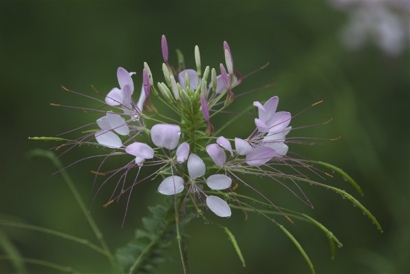 PART65です もうちょっとだけ夏がいいなあ～』 クチコミ掲示板 - 価格.com
