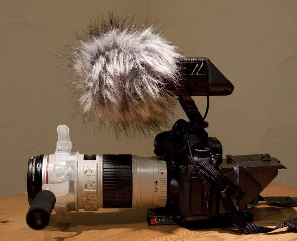 動画についてKiss X5と7D』 CANON EOS 7D ボディ のクチコミ掲示板